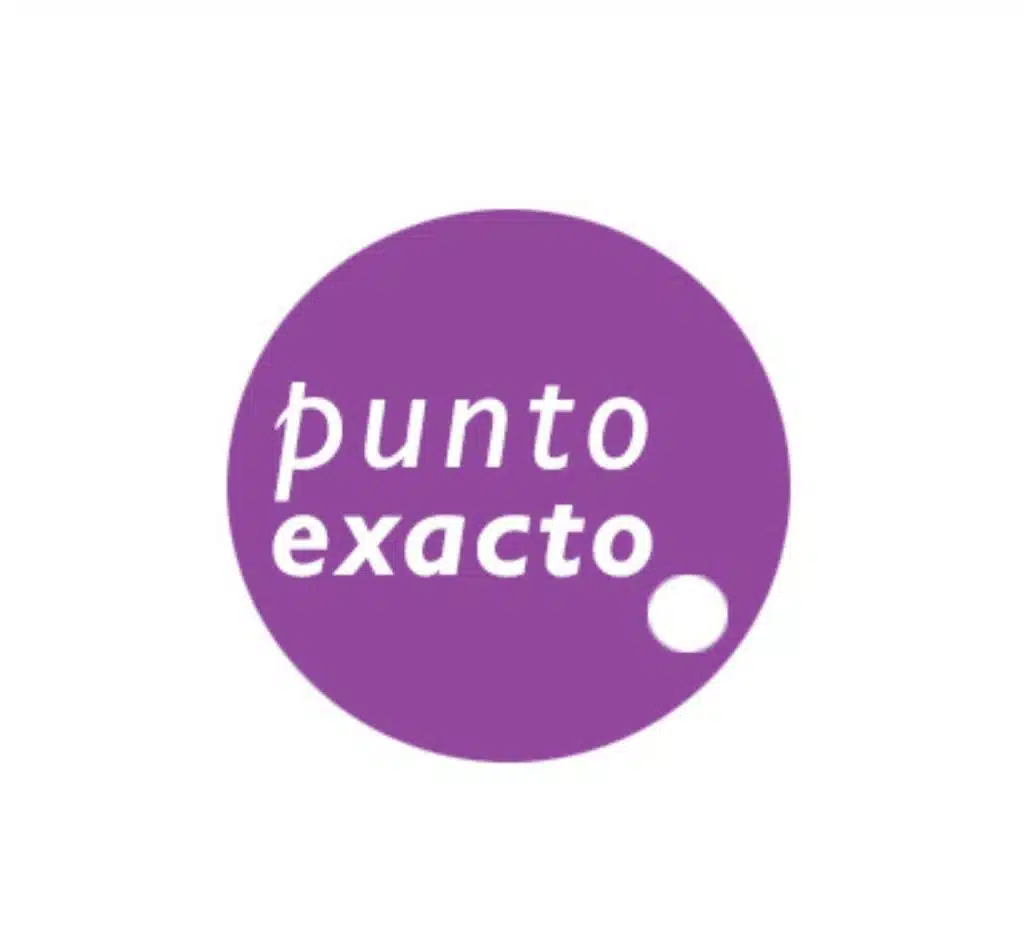Punto Exacto - Cliente Hosting Sistemas Chile, empresa de servicios