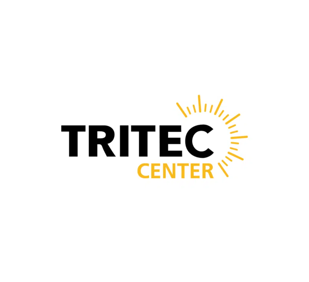 Tritec - Cliente Hosting Sistemas Chile, empresa tecnológica